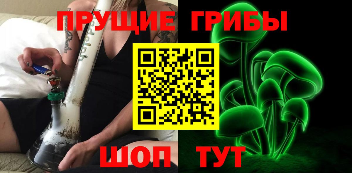 хочу   Вход с VPN  Будённовск  Галлюциногенные грибы Cubensis 